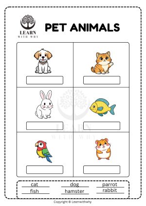 Animals Worksheets for Kindergarten (Printable, 3 Free) | Learn With Why